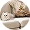 Canapea